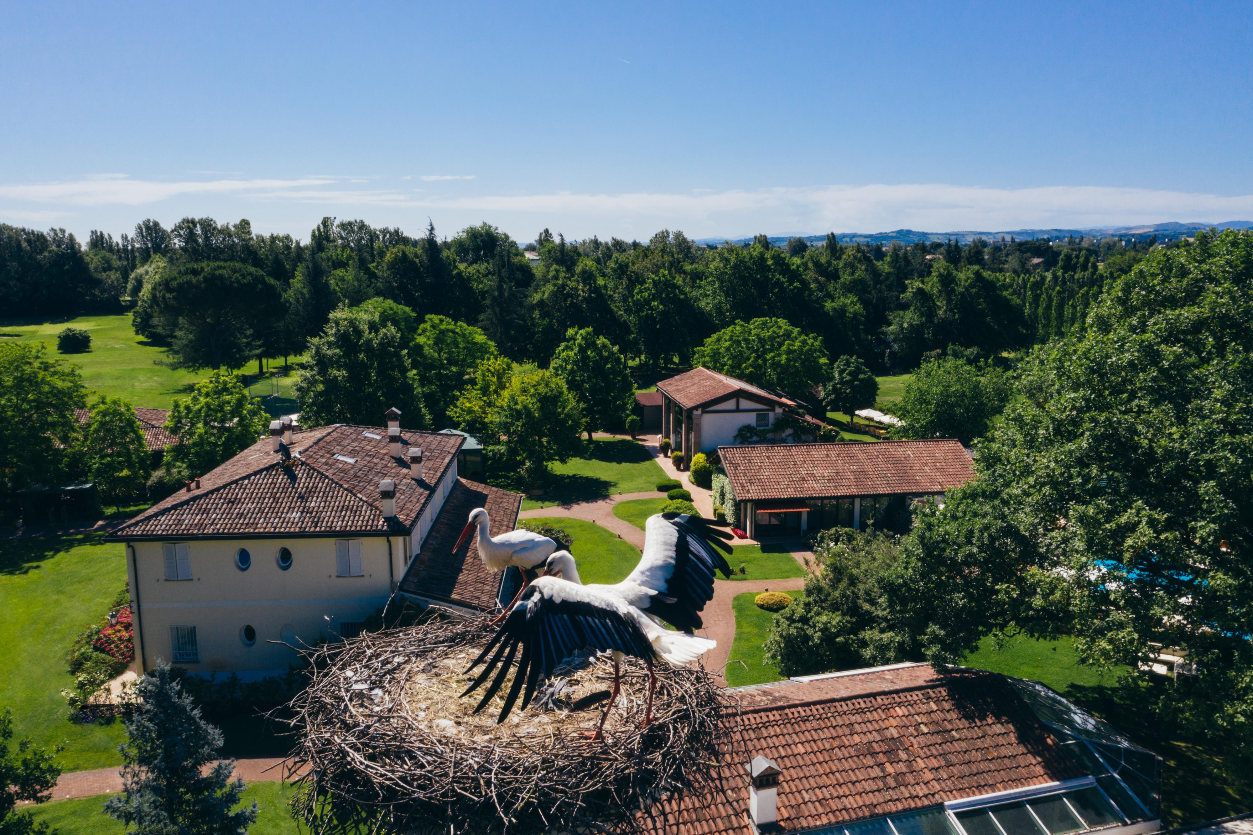 Villa Abbondanzi Resort Faenza Exteriér fotografie